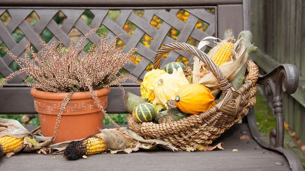 Balkon gestalten: Ideen für den Herbst - SAT.1 Ratgeber